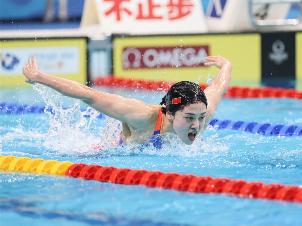 球迷的广泛 球迷的广泛